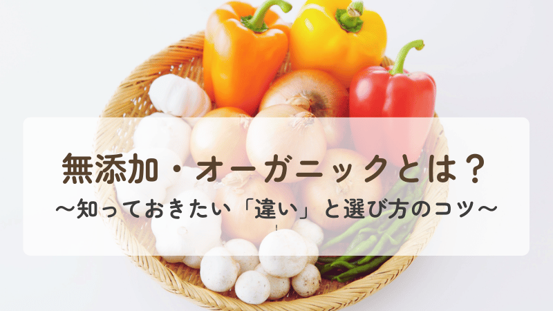 オーガニックや無添加の安心感をイメージした、カゴに盛られたパプリカや玉ねぎなどの新鮮な野菜