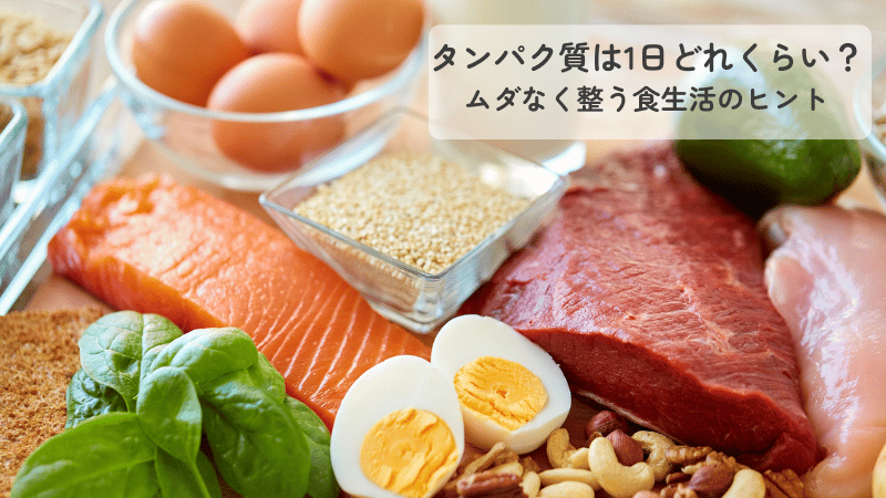 卵、肉、魚、ナッツなどの豊富なタンパク質食材が並んだイメージ。１日の摂取量を知って食生活を整えるためのアイキャッチ画像。